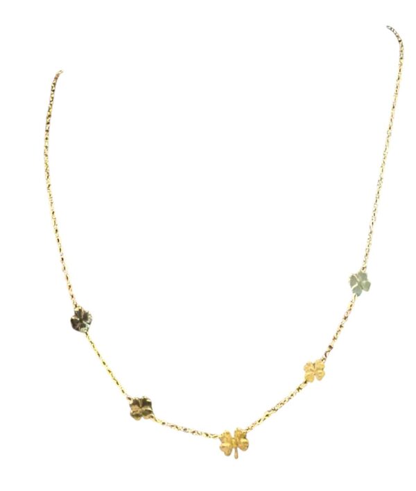 Stainless steel chain with Klavertjes 4